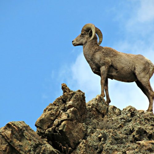 8627403593_fdcb3fb9b5_z 8627403593_fdcb3fb9b5_z